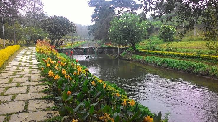 Blossom Park Munnar
